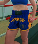 Muay thai shorts